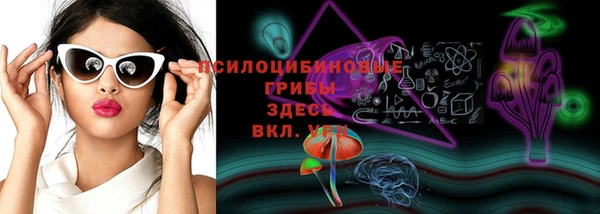 прущая мука Алексин